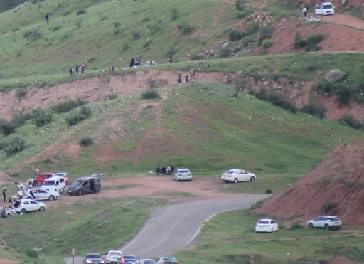 Botan Vadisi İ&ccedil;in Ağa&ccedil;landırma &Ccedil;ağrısı