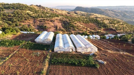 Bu k&ouml;yde herkesin bir serası var
