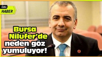 Bursa Nilüfer&#039;de neden göz yumuluyor! (Özel Haber)