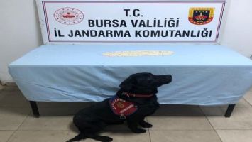 Bursa Orhangazi&#039;de uyuşturucu operasyonu