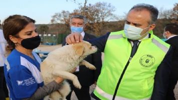 Bursa&#039;da emekli hayvanlara Başkan Aktaş&#039;tan ziyaret