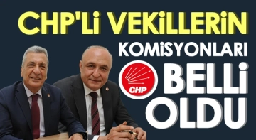 CHP’li Öztürkmen ve Meriç hangi komisyonda görev yapacak?..