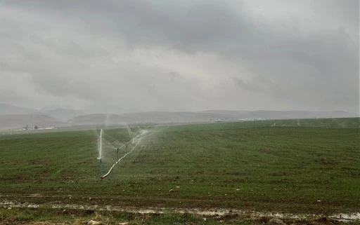 Çiftçi, Yağmurlu Havada Kaçak Elektrik Kullanarak Tarlasını Suladı!