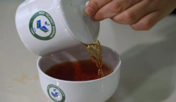 Coğrafi işaretli "Rize çayı" 2022'de raflarda yerini alacak