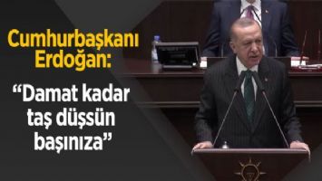Cumhurbaşkanı Erdoğan: &quot;Damat kadar taş düşsün başınıza&quot;