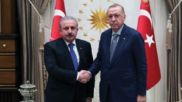 Cumhurbaşkanı Erdoğan, TBMM Başkanı&#039;nı kabul etti