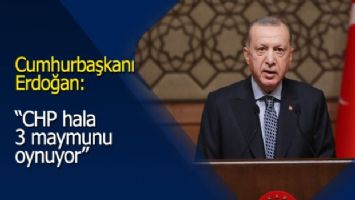 Cumhurbaşkanı Erdoğan&#039;dan önemli açıklamalar