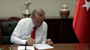 Cumhurbaşkanı Erdoğan'ın masasındaki son anket! Zamlar AK Parti'nin oy oranını vurdu