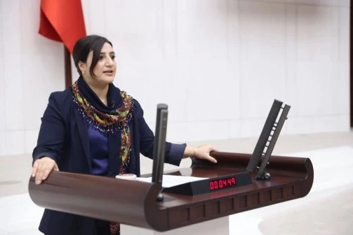 DEM Parti Siirt Milletvekili Sarıtaş, Toytepe&rsquo;deki Petrol Aramalarını Meclis G&uuml;ndemine Taşıdı