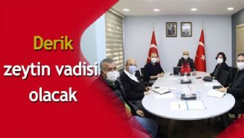 Derik zeytin vadisi olacak