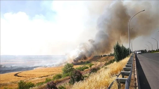 Dicle Elektrik&rsquo;ten Anız Yangınlarına Karşı S&uuml;rd&uuml;r&uuml;lebilirlik &Ccedil;ağrısı: Hem Tarımsal &Uuml;retim Hem de Enerji Arzı Riske Atılıyor!