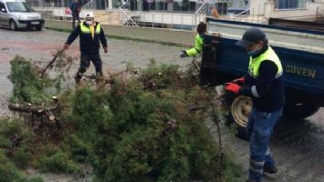 Didim Belediyesi &#039;fırtına&#039; gibi hareket etti