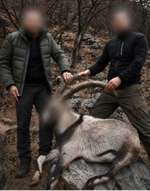 Doğa Katliamına 6 Yıl Sonra Ceza