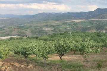 “Doğal dengeler bozuldu”