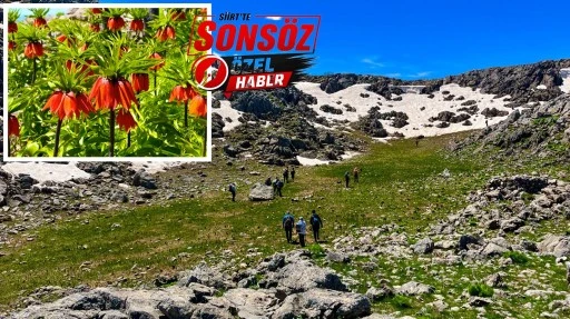 D&ouml;rt Bir Yandan Ters Laleleri G&ouml;rmeye Geliyorlar