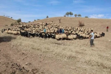 Ekipler göçebelerin dönüş yolunu bekliyor