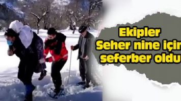 Ekipler Seher nine için seferber oldu