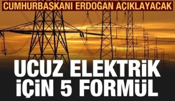 Elektrik faturalarını indirecek 5 formül! Erdoğan açıklayacak