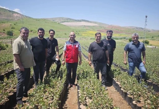 Fıstık Fidanlarında Kalite ve Sertifikalı &Uuml;retim Vurgusu