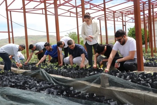 Fıstık &Uuml;retim Serası Eğitim ve &Uuml;retimi Bir Araya Getiriyor