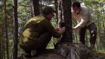 Fotokapana takılan belgesellik görüntüler
