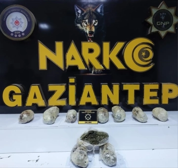 Gaziantep’te 3 kilo skunk ele geçirildi