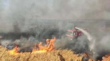 Gaziantep'te 7 bin dönüm buğday tarlası yandı