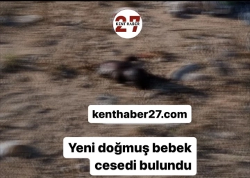 Gaziantep’te köpekler tarafından parçalanmış yeni doğmuş bebek cesedi bulundu.