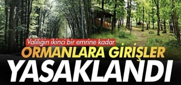 Gaziantep'te ormanlık alanlara girişler yasaklandı