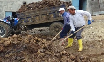 Geçimlerini tezekten çıkarıyorlar