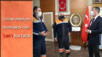 Gölbaşı Belediyesi donmakta olan &#039;can&#039;ı kurtardı