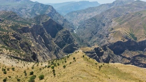 Guharan yaylası arıcıları da doğaseverleri de cezbediyor