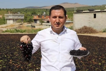 Güven Özdemir "Kazanan Üretici Olsun,Kazanan Tüketici olsun!Kuru Üzüm satışında acele etmeyelim"