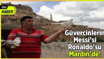 Güvercinlerin Messi&#039;si Ronaldo&#039;su Mardin&#039;de! (ÖZEL HABER)