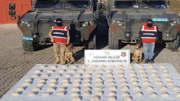 Hakkari&#039;de 48 kilo eroin ele geçirildi