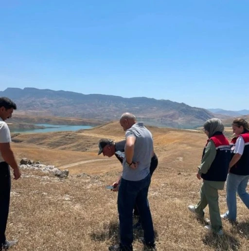 Hayvancılığa Mera Desteği