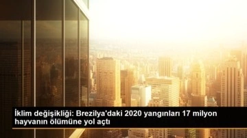 İklim değişikliği: Brezilya'daki 2020 yangınları 17 milyon hayvanın ölümüne yol açtı