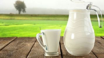 İnek sütü miktarı yüzde 1,2 arttı
