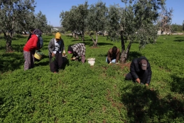 İşçiler 1 Mayıs'ta dahi çalıştı