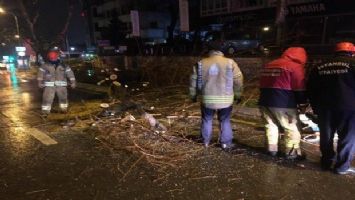 İstanbul&#039;da şiddetli sağanak ve rüzgar nedeniyle ağaç devrildi