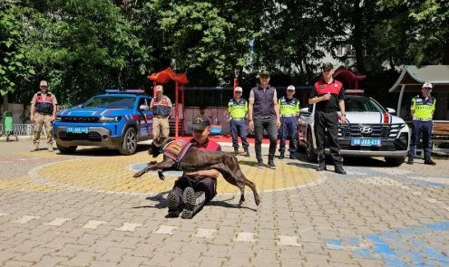 Jandarma K&ouml;peklerinden Miniklere G&ouml;steri