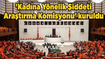 &#039;Kadına Yönelik Şiddeti Araştırma Komisyonu&#039; kuruldu