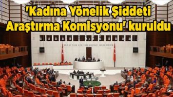 &#039;Kadına Yönelik Şiddeti Araştırma Komisyonu&#039; kuruldu