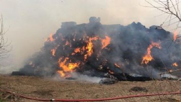 Kahramanmaraş&#039;ta çiftlik yangını