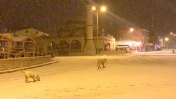 Kangal&#039;da beklenen kar nihayet yağmaya başladı