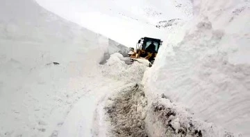 Kar yolları kapattı, ekipler gece gündüz çalışıyor