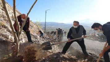 Kayseri Talas&#039;ta yeşil seferberlik sürüyor