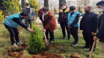 Kilis Ülkü Ocakları, şehit Çakıroğlu anısına fidan dikti