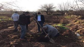 Kilis&#039;te sokak kısıtlamasında çiftçiler arazide