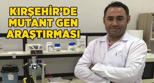 Kırşehir'de mutant gen araştırması... Yerli koyun ırkında çoklu doğum sağlayan mutant gen tespit edildi